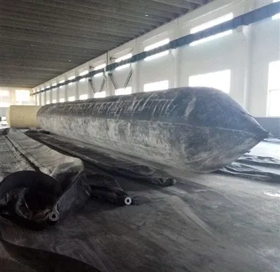 قدرتی ربڑ جہاز ایئر بیگ لانچ کرنے والا