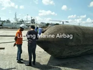 ارجنٹائن میں میرین ایئر بکس شروع کرنے اور ڈاکنگ برتن